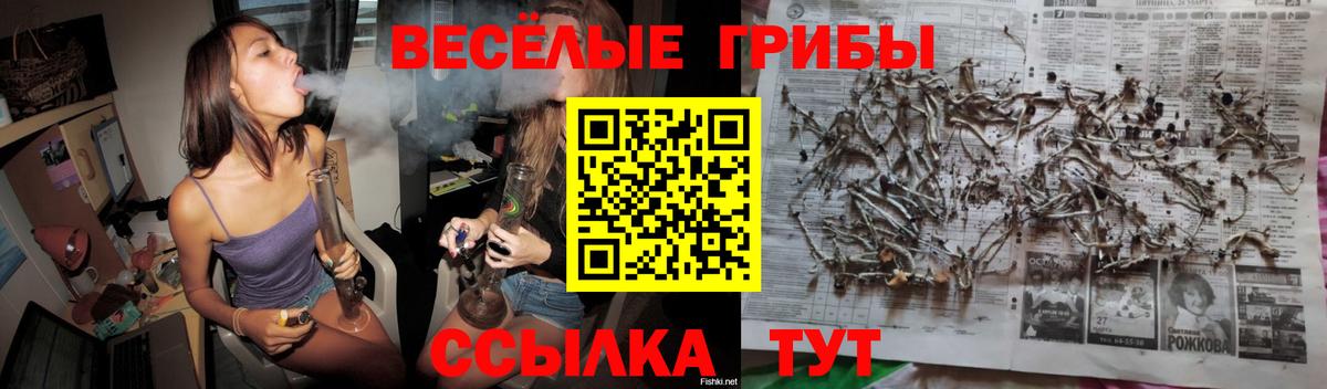 Галлюциногенные грибы Psilocybine cubensis Нефтеюганск